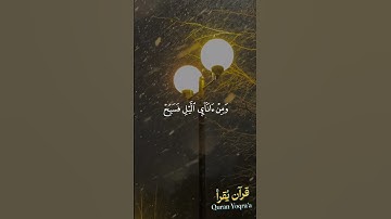 فاصبر على ما يقولون #سورة_طه #القرآن_الكريم #ماهر_المعيقلي #اكسبلور #راحة_نفسية #لايك #تلاوة_خاشعة
