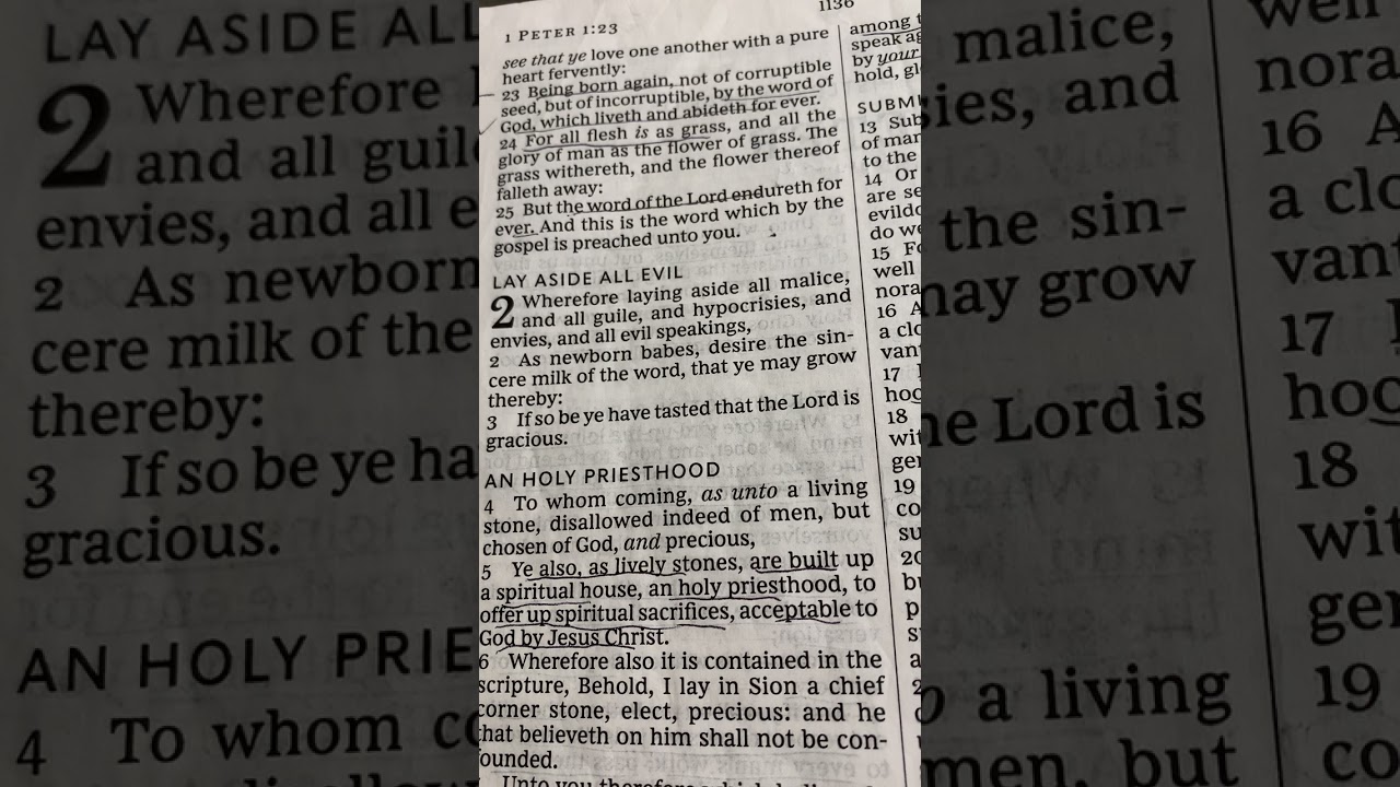 Take the Word of the Lord to Heart: Spiritual Food#4 of 7