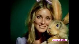 Lovely Sharon Tate Tribute