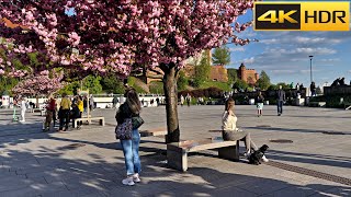 🇵🇱 Poland Spring Walk | Krakow Walking Tour | European Bloom 🌸 [4K HDR]