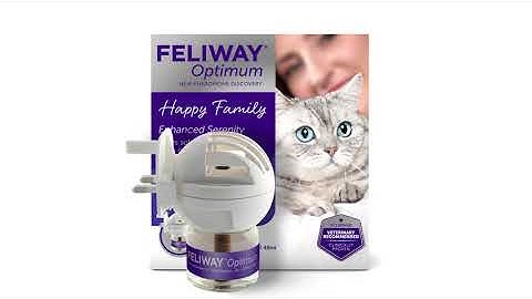 FELIWAY Optimum product pack presentation