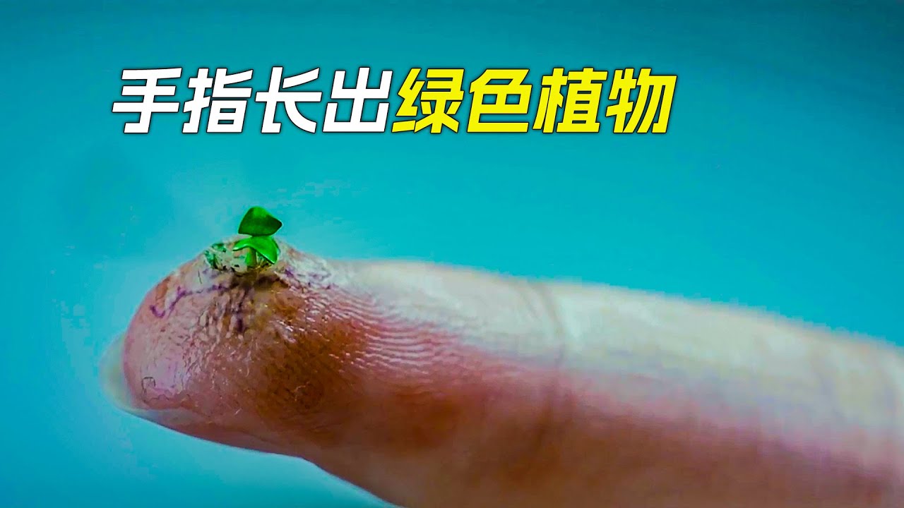 手指上長出綠色植物，這是怎麼回事，科幻，奇幻，電影，解說，獵奇，懸疑，超能力