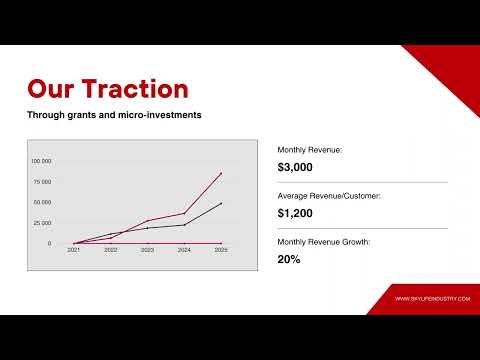 SkyBee 3 min startup presentation