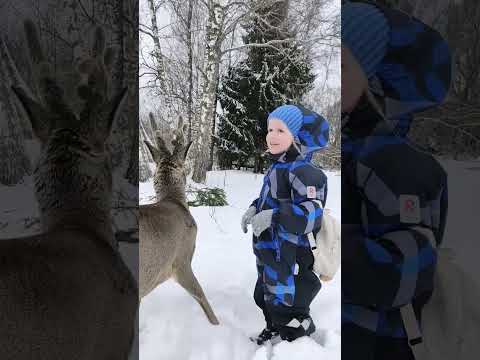 Аня и косуля Рогатик❤ #funnyanimals #забавныеживотные #animals #wildanimals #детииживотные #косуля