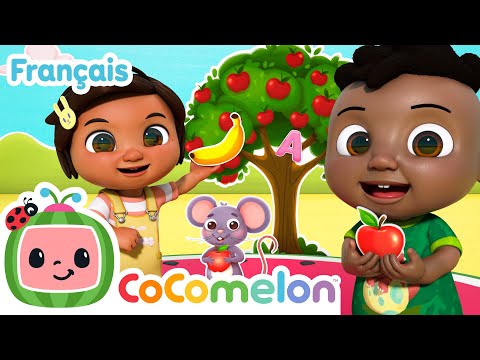 Des pommes et des bananes  | Faire Danser Bébé | CoComelon en Français | Chansons pour bébés