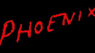 Alternative Facebook Application. Phoenix for Android. (Save data, battery and money) screenshot 5