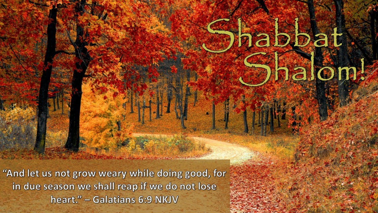 November 29, 2025  |  Youth Led Worship Service and Presentation: "Miss Dorothy and class"