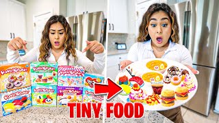 i only ate TiNY FOOD for 24 Hours!!!