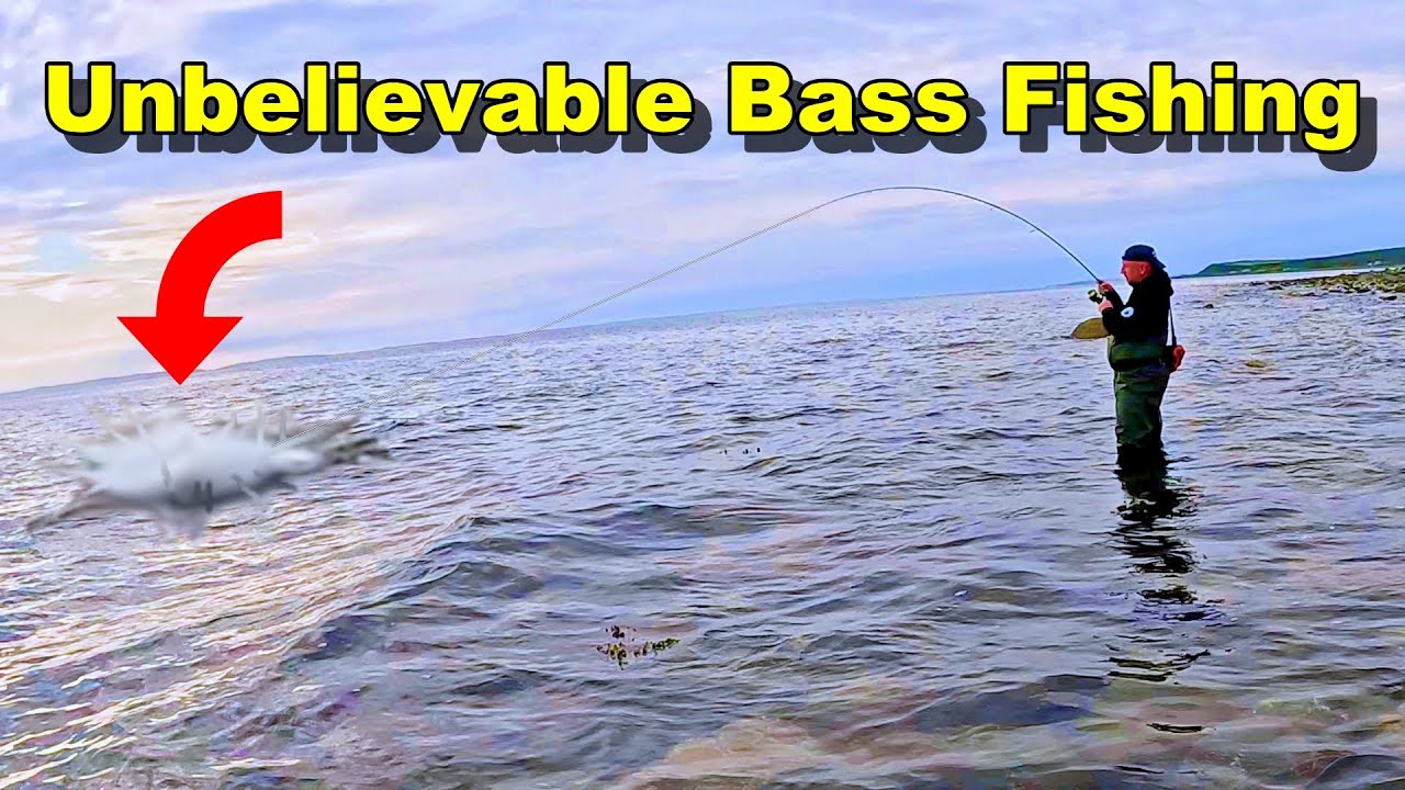 МОРСКАЯ РЫБАЛКА В ШОТЛАНДИИ Новое место для ловли ОГРОМНОГО морского окуня!!!