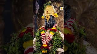 #love #kedarnath #hindi #song #marathi #bhajan #vithu_mauli #vitthal #mauli #motivation