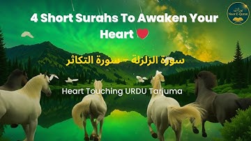 4 Surahs to Awaken Your Heart💔 | 99-102 Urdu Tarjuma | Heart Touching Quran | سورة الزلزلة – التكاثر