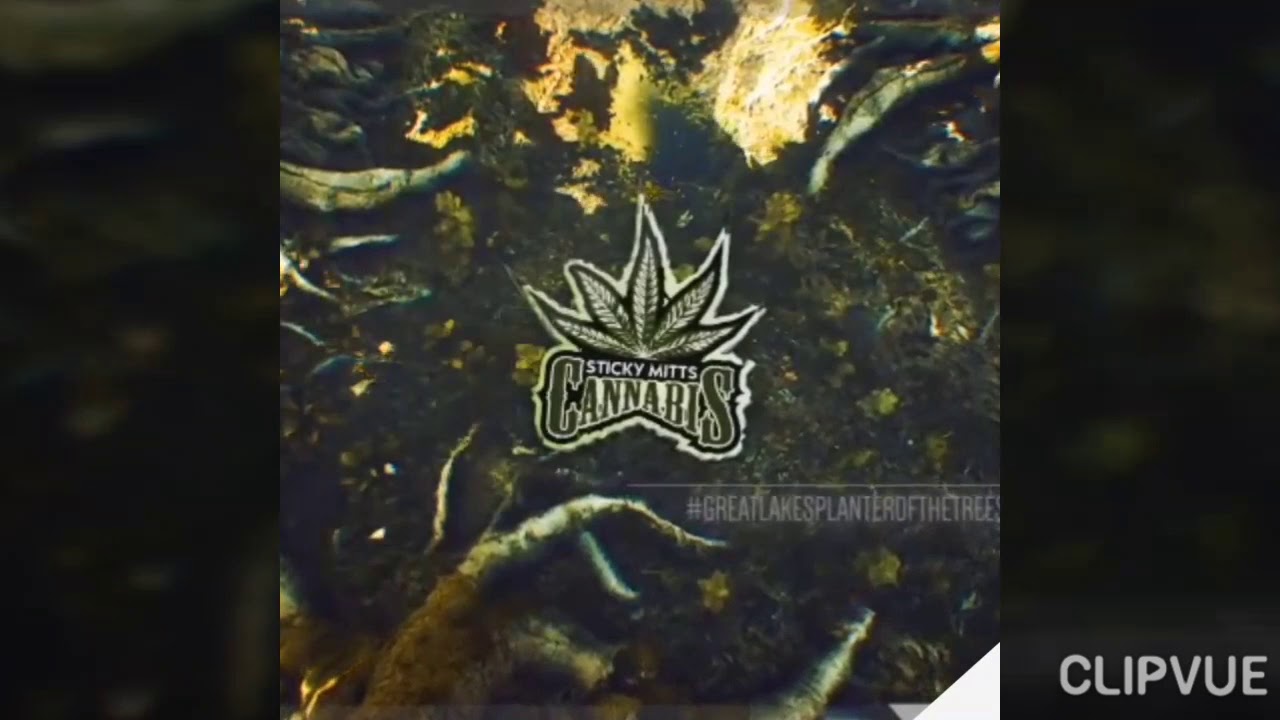 Indoor grow series small peak update