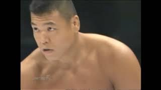 Fedor Emelianenko vs Naoya Ogawa