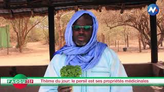 El Hadj Malick Geuye - Faggutef - Théme Du Jour Le Persil Et Ces Propriétés Médicinales