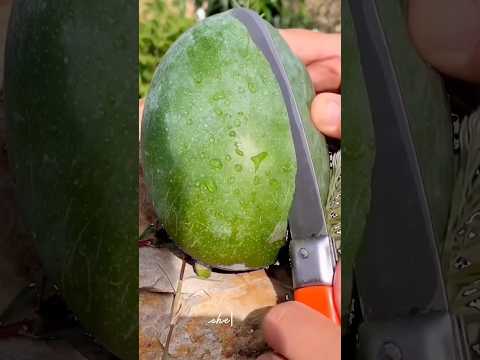 أنا ما سويت شي ليش نطقو ني