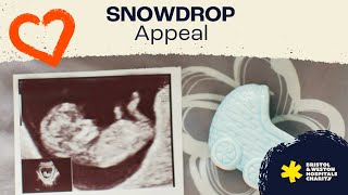 Snowdrop Appeal: Making positive memories to remember for bereaved families