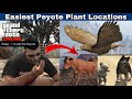 Easiest Peyote Plants Locations in Gta Online | Easy peyote plant locations