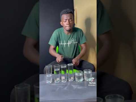 New Musical Instrument Keyboard Teddy