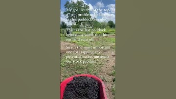 Here’s what I do with our Biochar!