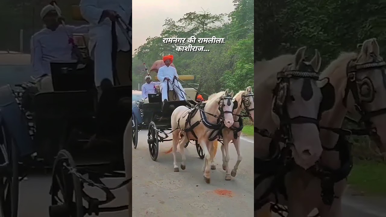 Kashi Naresh | Ramnagar k Raja | Ramleela 