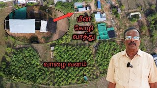 ஒருங்கிணைந்த பண்ணை | மேலே கோழி | வாத்து | ஆடு | கீழே மீன் | Smart Integrated Farming