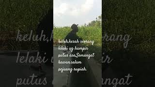 Download Lagu suara hati seorang pejuang rupiah MP3