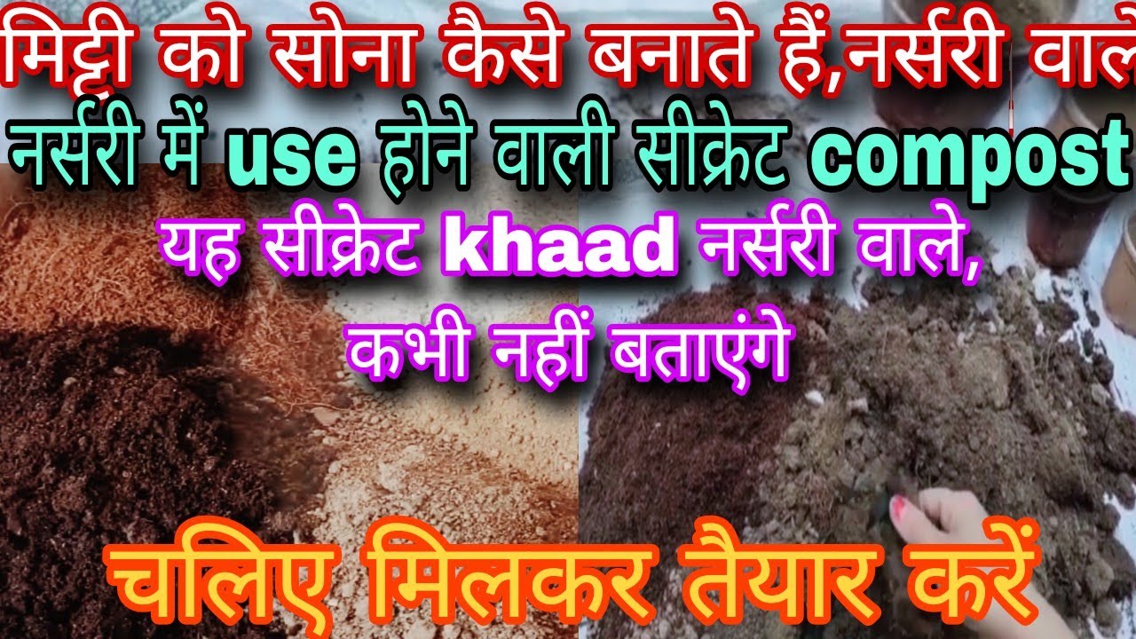 यह पांच खाद नर्सरी वाले छुपा कर डालते हैंl