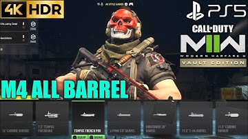 Vault Edition MW2 M4 All Barrel | Call of Duty Modern Warfare 2 Vault Edition M4 All Barrel |MW2 PS5