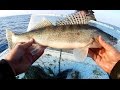 Осенняя рыбалка. Ловля судака. 02.10.2016. Fishing for walleye