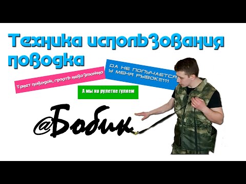 Правильное использование поводка