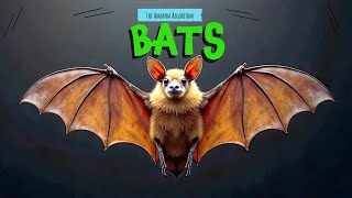 Learn How Bats See in the Dark?  Echolocation🦇