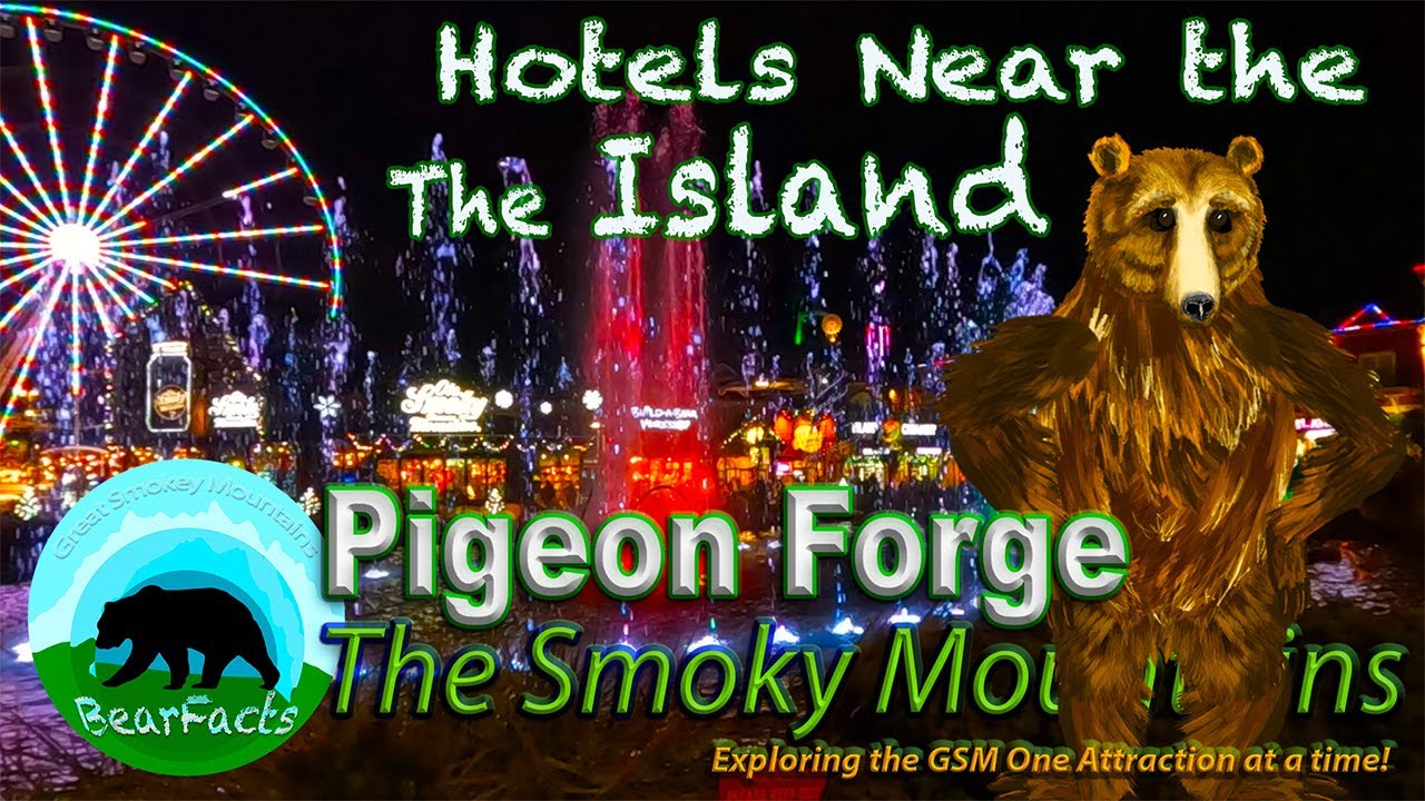 Hotels Near The Island! Can you Afford it?