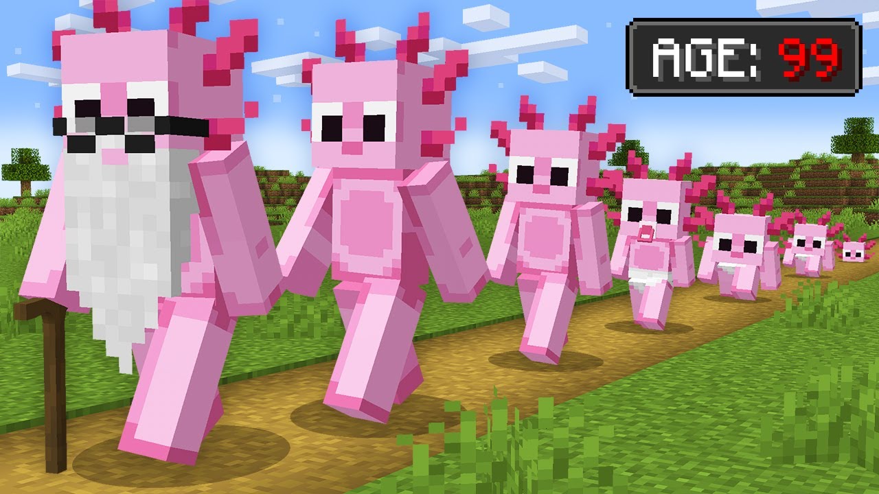 Minecraft, But Your Damage = Your AGE!