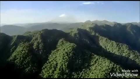 خالد الجليل تلاوة تفوق الوصف والخيال