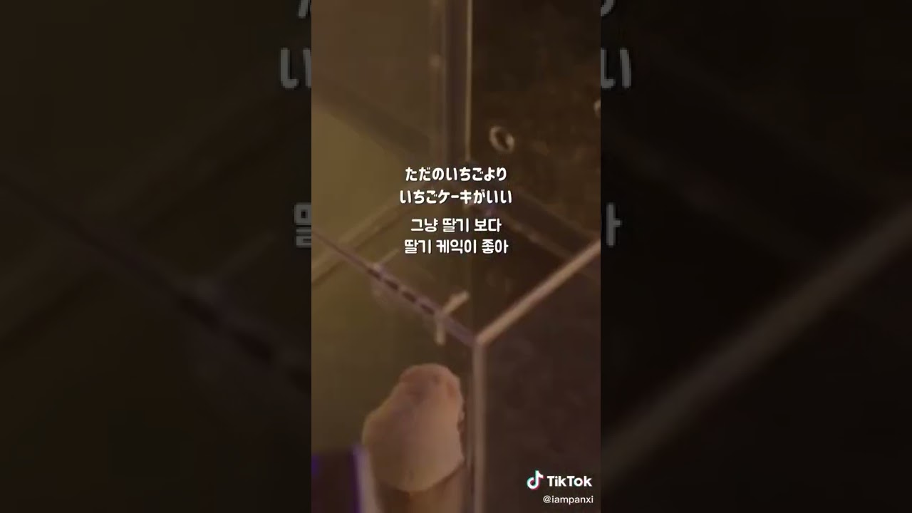 日本語ver トランス脂肪酸ソング オリーブオイルで揚げたチキンがうまい Cover Panxi Youtube