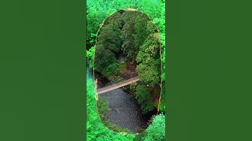 🌲⚒️ New Series! We’re taking you to the Scottish Highlands to hand-build a 30m rope bridge.