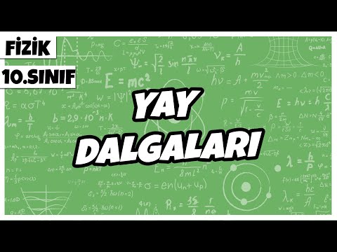 10.Sınıf Fizik - Yay Dalgaları | 2022