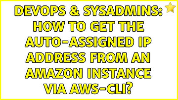 DevOps & SysAdmins: How to get the Auto-assigned IP address from an Amazon Instance via aws-cli?