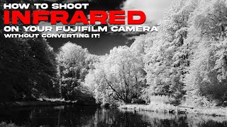 Your Fujifilm Camera Can Shoot Infrared