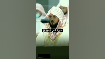 ايه ٦٢ سورة النمل #explore #الشريم #المنجد #ياسر_الدوسري #تلاوات #ماهر_المعيقلي #عثمان_الخميس