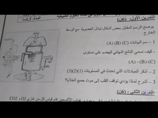 إختبار مقترح بقوة في العلوم الطبيعية السنة الرابعة متوسط 2023