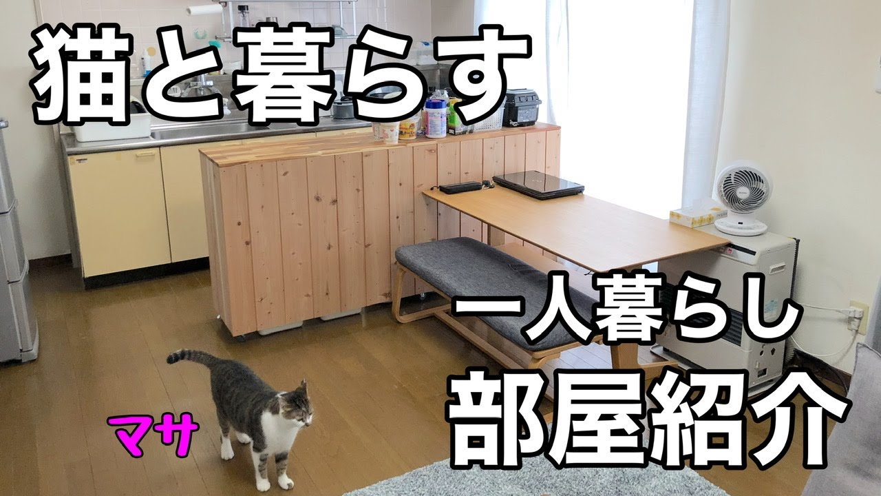 猫と一人暮らし会社員のルームツアー 猫のために自宅の家具をdiy 冬は炬燵に座椅子スタイル Youtube