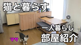 【ルームツアー】猫と一人暮らし会社員の部屋紹介猫のために自宅の家具をDIY冬は炬燵に座椅子スタイル