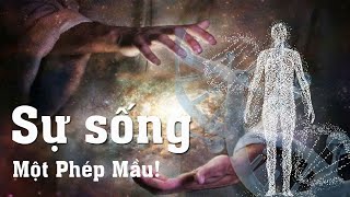 Sự sống: Một Phép Mầu!