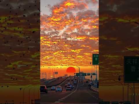 وليدك راح ميوليش 