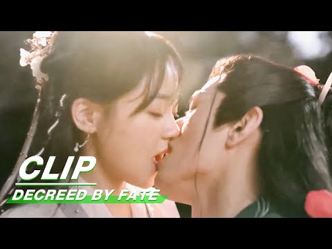 Clip: Rong Er and Tingxiao Tries to Relive Their Wedding Night | Decreed by Fate EP16 | 千金难逃 | iQiyi