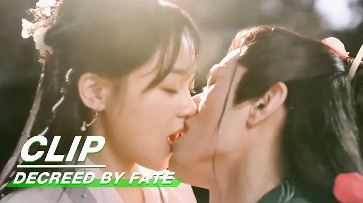 Clip: Rong Er and Tingxiao Tries to Relive Their Wedding Night | Decreed by Fate EP16 | 千金难逃 | iQiyi - DayDayNews