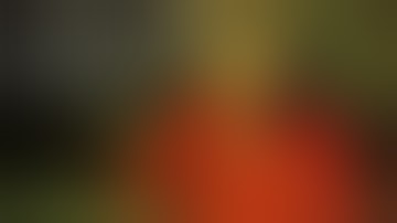 Chris Chan: A Comprehensive History - Part 6