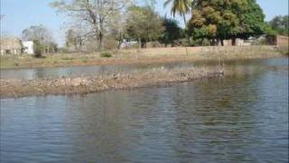 campos de los limones  fotos*