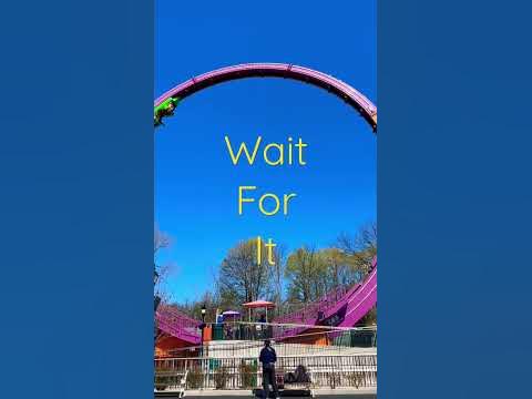 mardi gras hangover roller coaster